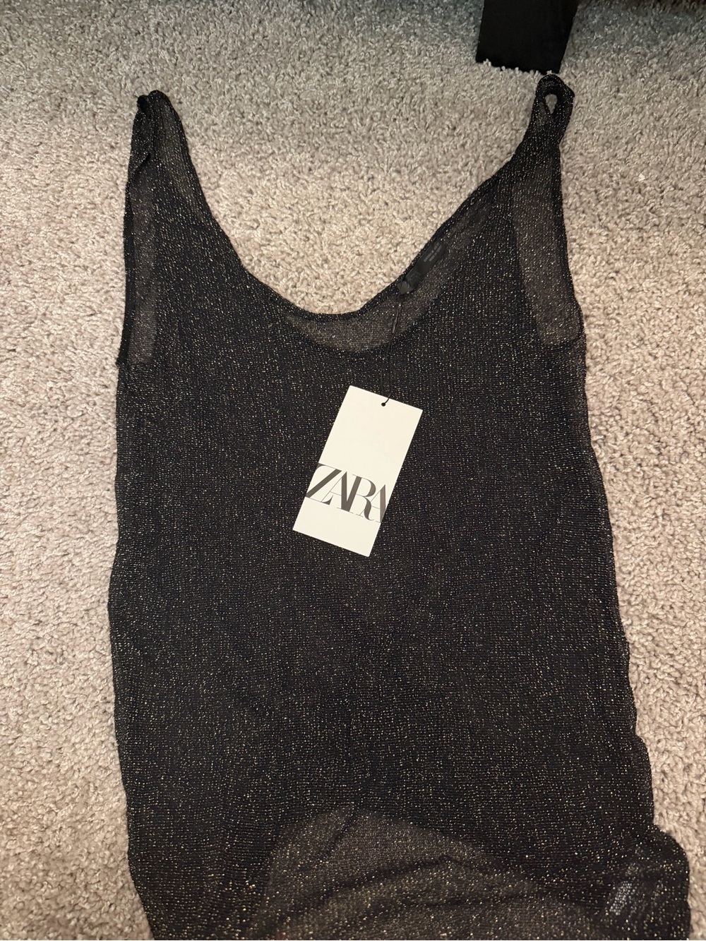 Sheer Zara top